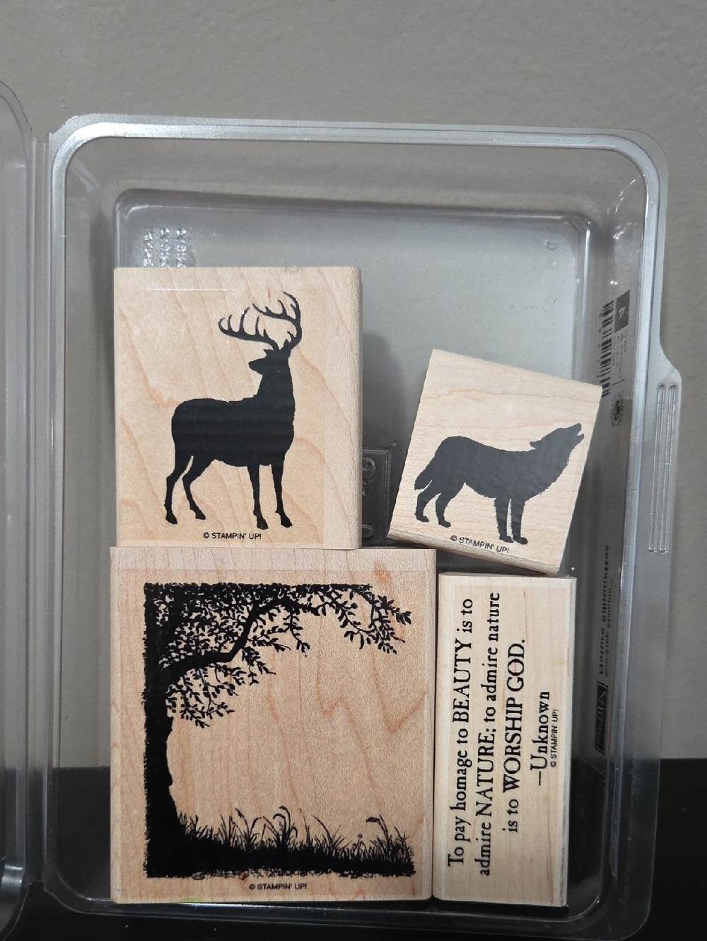 Nature Silhouettes Rubber Stampin Up Set